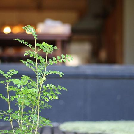 晴家 Guest House Fujikawaguchiko Eksteriør bilde