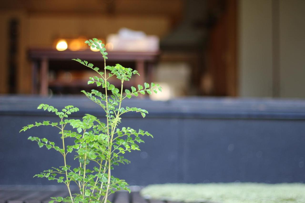 晴家 Guest House Fujikawaguchiko Eksteriør bilde