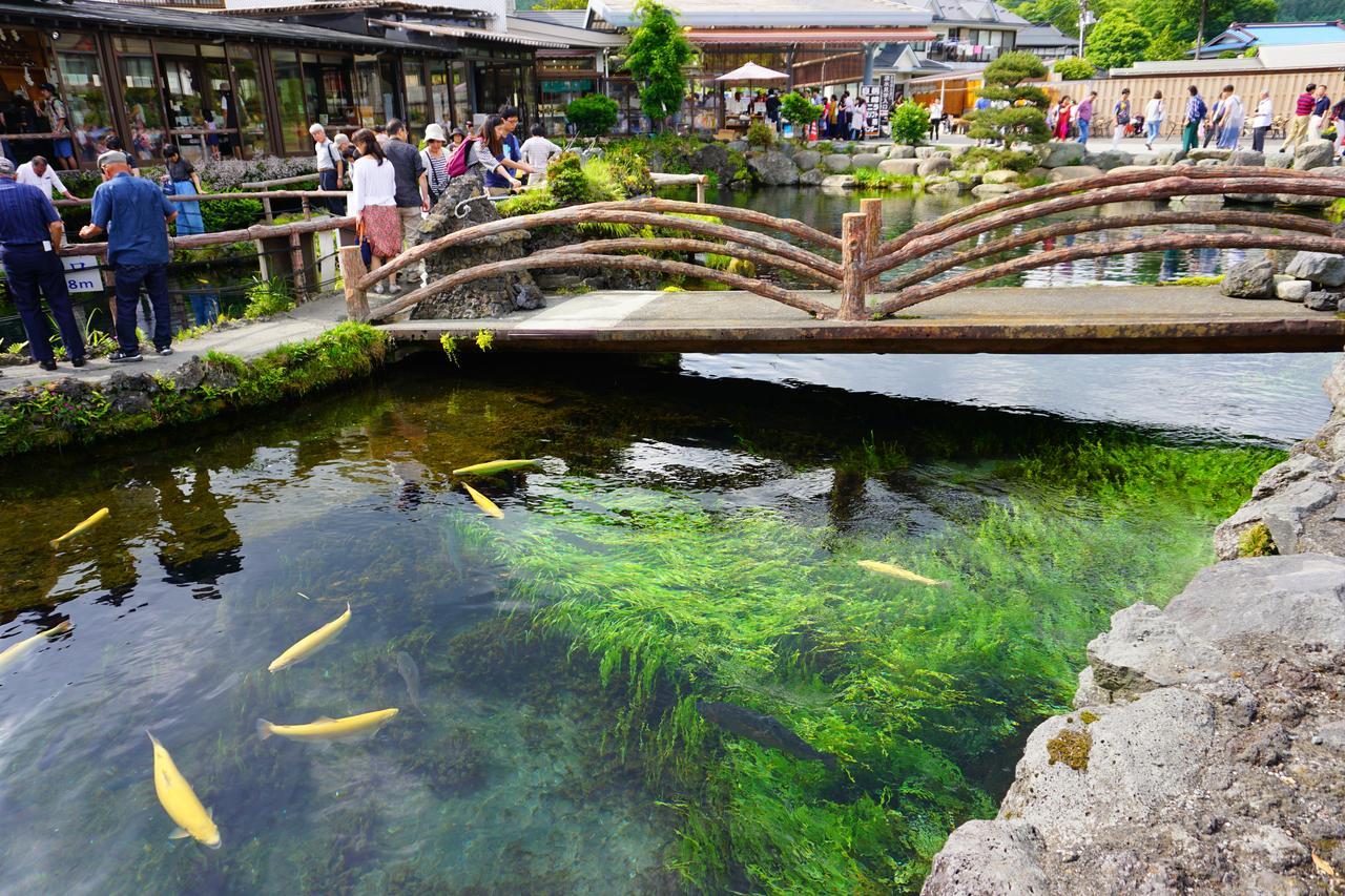 晴家 Guest House Fujikawaguchiko Eksteriør bilde