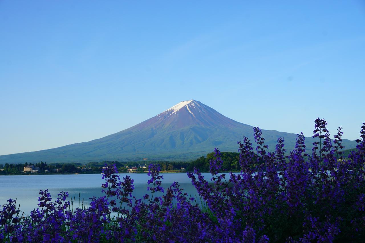 晴家 Guest House Fujikawaguchiko Eksteriør bilde